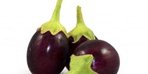 Fresh Organic Brinjal