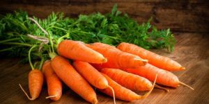 Fresh Organic Carrot