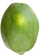 Fresh Organic Green Papaya