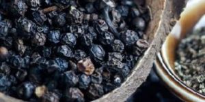 Black Piper Nigrum Seeds