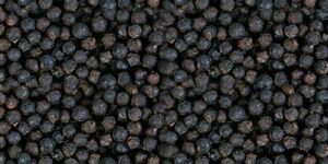 Fresh Black Pepper Seeds