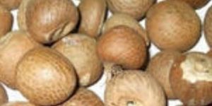 Whole Areca Nuts