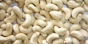 WW40 Grade Cashew Nuts