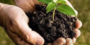 Organic Agriculture Fertilizer