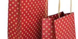 Designer Paper Carry Bag