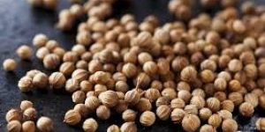 Brown Coriander Seeds