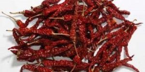Natural Dried Red Chilli