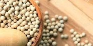 Natural White Pepper Seeds