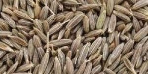 Organic Cumin Seeds