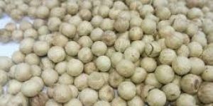 Organic White Pepper Seeds