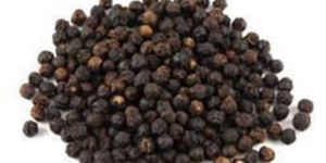 Pure Black Pepper Seeds