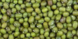 Green Moong Dal