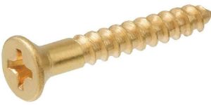 Precision Brass Screws