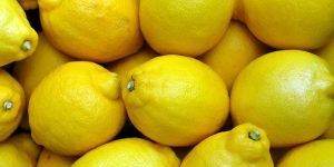 Fresh Lemon