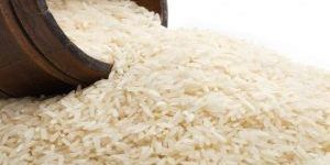 Non Basmati Rice