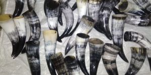 Drinking Horn