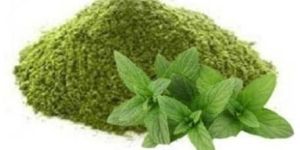 Mint Powder