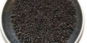Dried Black Pepper