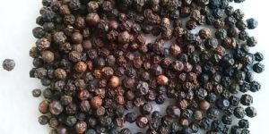 Organic Black Pepper