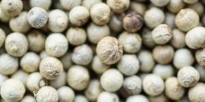Organic White Pepper