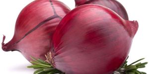 Fresh Red Onion