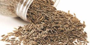 Organic Cumin Seeds