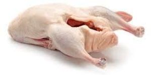 Duck Fresh Meat