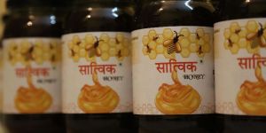 Satvik Honey