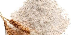 Pure Wheat Flour