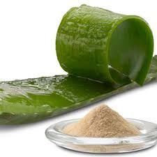 Aloe Vera Extract Powder