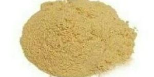 Nepali Shatavari Powder