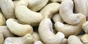 Cashew Nuts