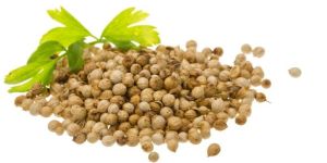 Coriander Seeds