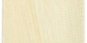 Arecanut Leaf Plates