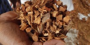 Coco Peat