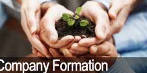 Company Formation Services