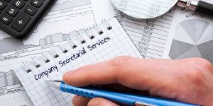 Company Secretarial Services
