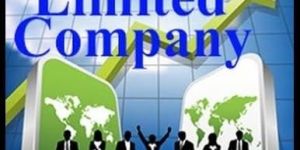 Public Limited Company Registration Services
