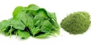 Spinach Powder