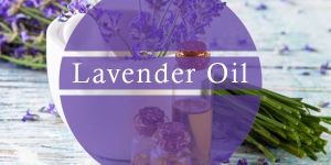 Lavender Oil