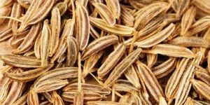 Cumin Seed, Annatto Seeds, Cardamom, Zedoary Roots, Fenugreek, Fennel, Coriander