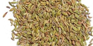 Whole Fennel Seeds