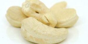W240 Cashew Nut Kernels