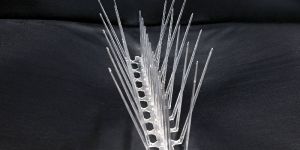 Bird Spike