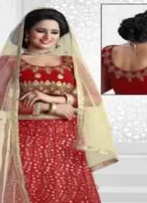 Ethnic Closet Including Beautifull Blouse LEHENGA CHOLI