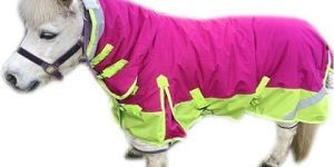 Waterproof Combo Rug