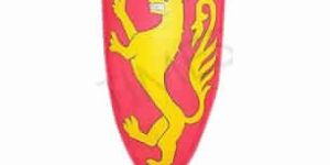 Medieval Dragon Shield