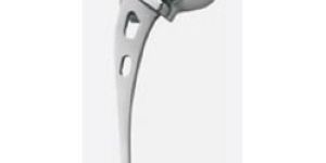 Bipolar Hip Prosthesis