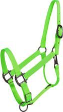Nylon Halter