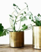 Flower Vase Cum Planter